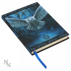 Notatnik z Tłoczeniami Sowa - Embossed Journal Awaken Your Magic 17cm - Anne Stokes